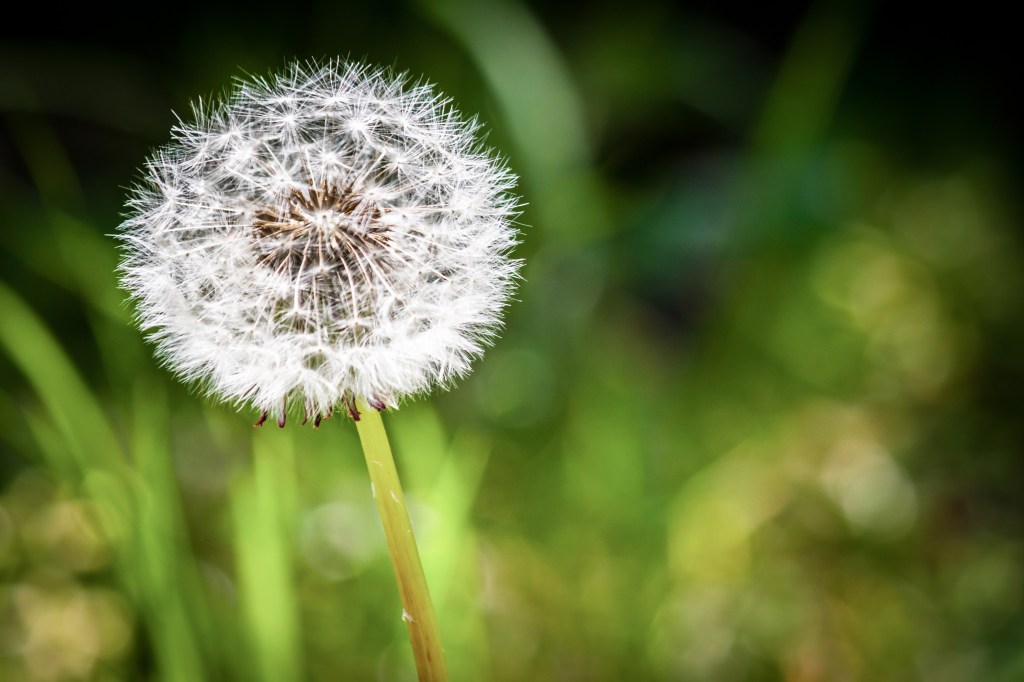 Setting the Foundation for Successful Transition